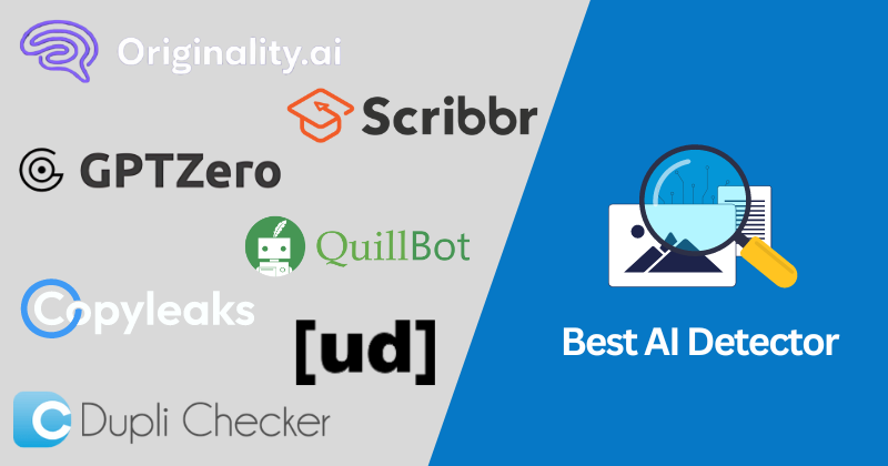 How AI Detectors Work to Spot AI-Generated Text and Content.