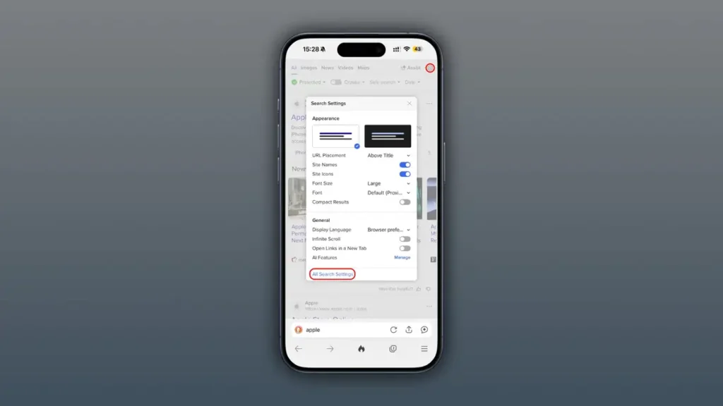 DuckDuckGo Search Results Options