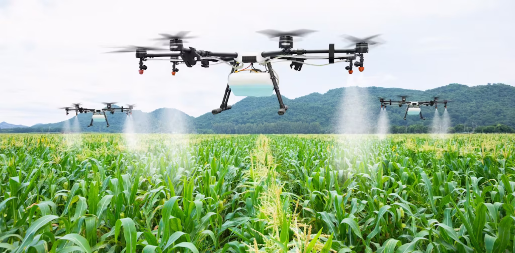 AI models are used to track locust movements, helping farmers protect their crops and maintain food security.
