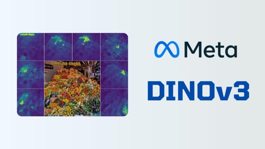 Visualization of DINOv3 learning from unlabeled images to address annotation scarcity in computer vision